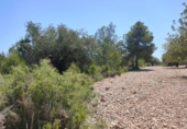 Terreno no urbanizable en venta en la España, Chiva, ref: TR392297 foto
