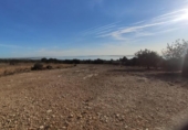 Terreno no urbanizable en venta en la España, Alcanar, ref: TR392041 foto