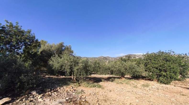 Tarragona - Alcanar - 20225m2