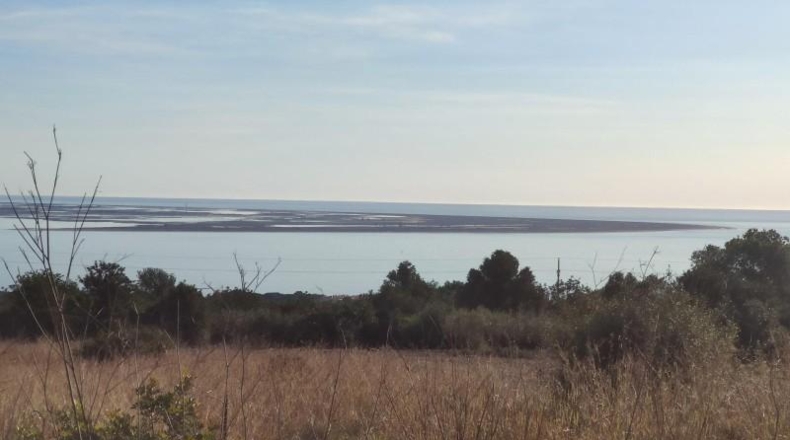 Tarragona - Alcanar - 20225m2
