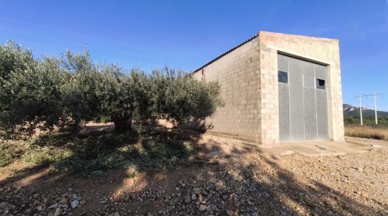 Tarragona - Alcanar - 20225m2