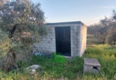 Xalet independent amb terreny en venda a la España, Montijo, ref.: TR400401 foto