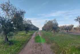 Foto 16