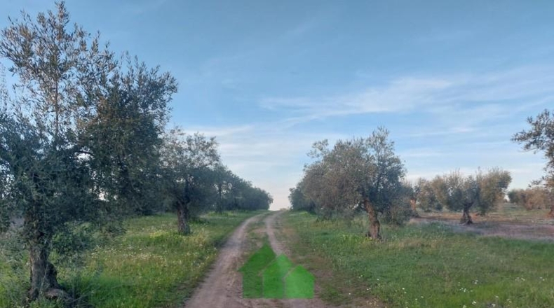 Badajoz - Montijo - 3220m2