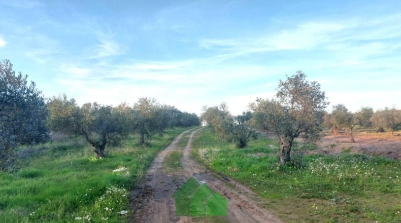 Badajoz - Montijo - 3220m2