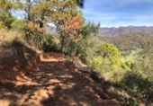 Terreno no urbanizable en venta en la España, Estepona, ref: TR392304 foto
