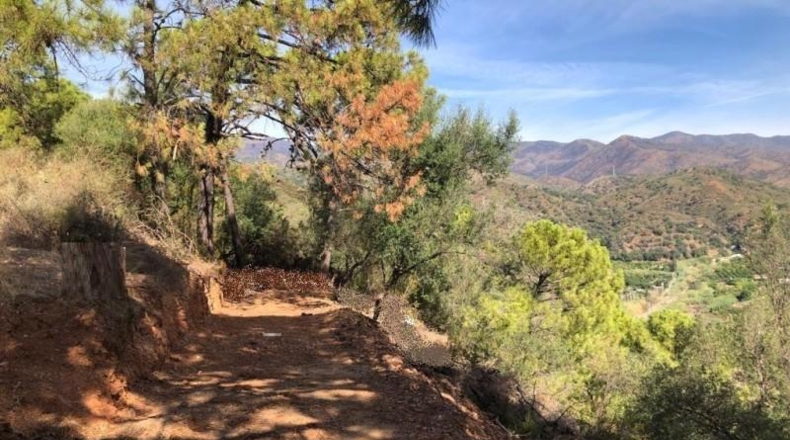 Málaga - Estepona - 9700m2
