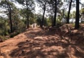 Terreno no urbanizable en venta en la España, Estepona, ref: TR392304 foto