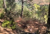Terreno no urbanizable en venta en la España, Estepona, ref: TR392304 foto