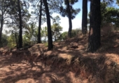 Terreno no urbanizable en venta en la España, Estepona, ref: TR392304 foto