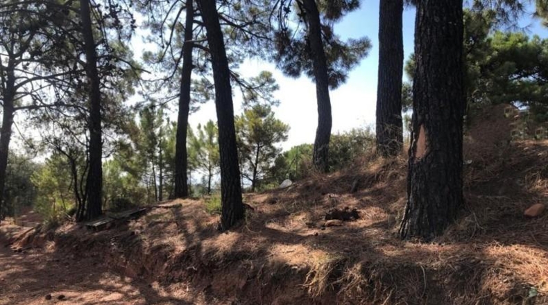 Málaga - Estepona - 9700m2