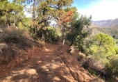 Terreno no urbanizable en venta en la España, Estepona, ref: TR392304 foto