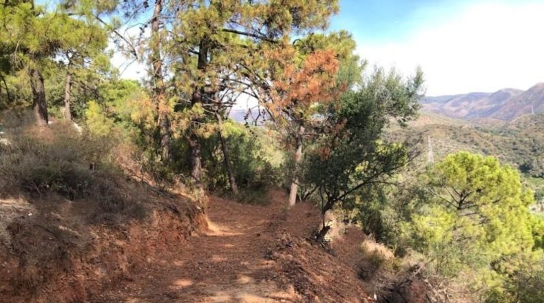 Málaga - Estepona - 9700m2