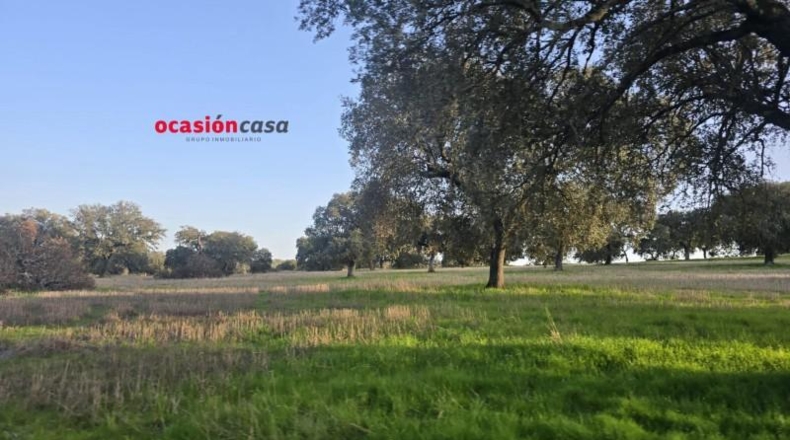 Córdoba - Fuente Obejuna - 212626m2
