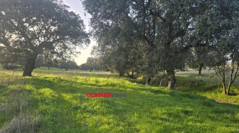 Córdoba - Fuente Obejuna - 212626m2