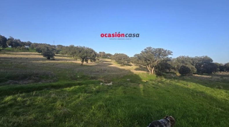 Córdoba - Fuente Obejuna - 212626m2