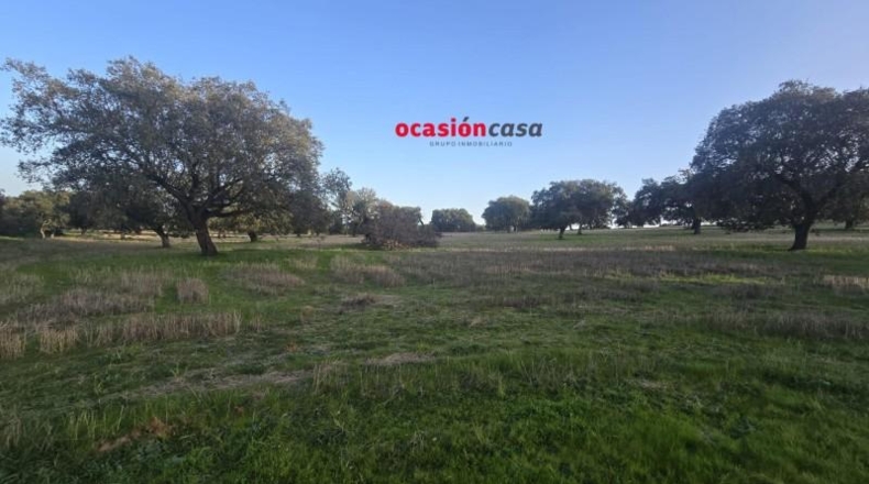 Córdoba - Fuente Obejuna - 212626m2