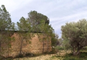 Xalet independent amb terreny en venda a la España, Xerta, ref.: TR392566 foto