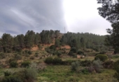 Xalet independent amb terreny en venda a la España, Xerta, ref.: TR392566 foto