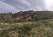 Xalet independent amb terreny en venda a la España, Xerta, ref.: TR392566 foto