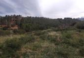 Xalet independent amb terreny en venda a la España, Xerta, ref.: TR392566 foto
