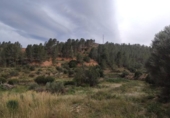 Xalet independent amb terreny en venda a la España, Xerta, ref.: TR392566 foto
