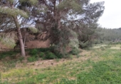 Xalet independent amb terreny en venda a la España, Xerta, ref.: TR392566 foto
