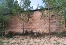 Foto 13