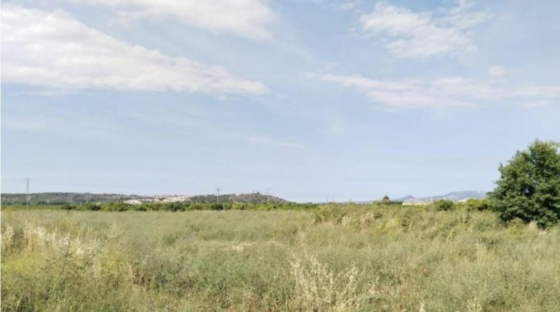València - Cárcer - 2248m2