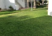 Дом с участком на продажу в городе San Juan de los Terreros Фото