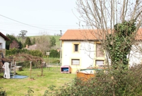 Foto 19