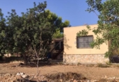 Chalet independiente con terreno en venta en la España, Amposta, ref: TR391661 foto