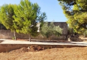 Chalet independiente con terreno en venta en la España, Amposta, ref: TR391661 foto