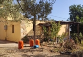 Chalet independiente con terreno en venta en la España, Amposta, ref: TR391661 foto