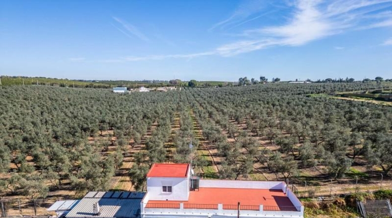 Seville - Алькала-де-Гуадаира - 34359m2