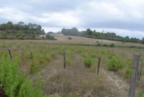 Santa Margalida 22734&nbsp;m² 