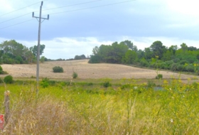 Santa Margalida 22734&nbsp;m² 