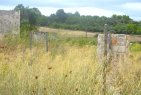 Santa Margalida 22734&nbsp;m² 