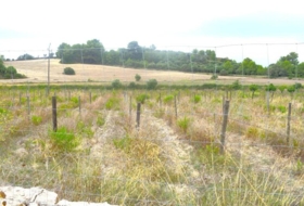 Santa Margalida 22734&nbsp;m² 