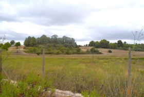 Santa Margalida 22734&nbsp;m² 