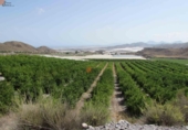 Casa de campo con terreno en venta en la España, Águilas, ref: TR400426 foto