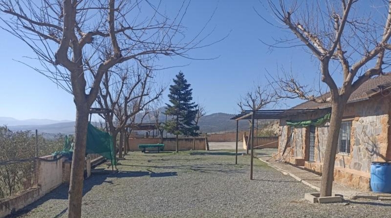 Гранада - Los Llanos - 76500m2