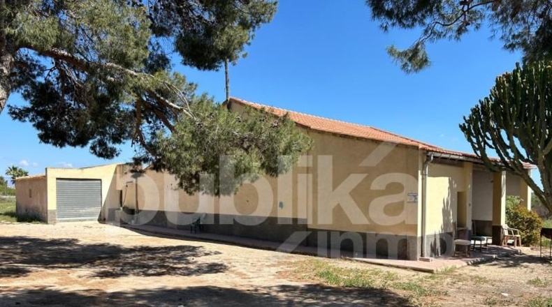 Alicante - Elche - 28000m2