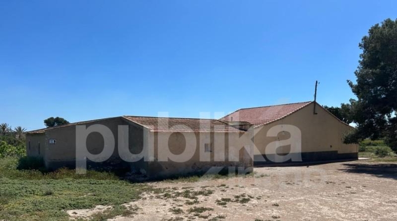Alicante - Elche - 28000m2
