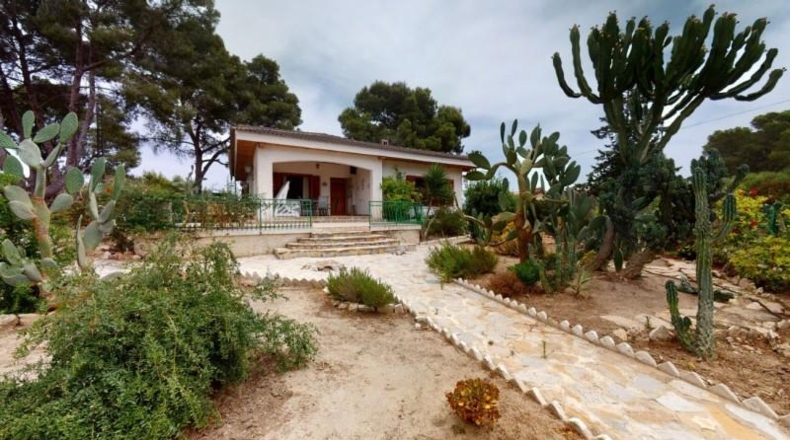 Alicante - Pilar de la Horadada - 2350m2