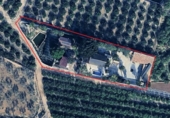 Casa de camp amb terreny en venda a la España, Sant Miquel de les Salines, ref.: TR400440 foto