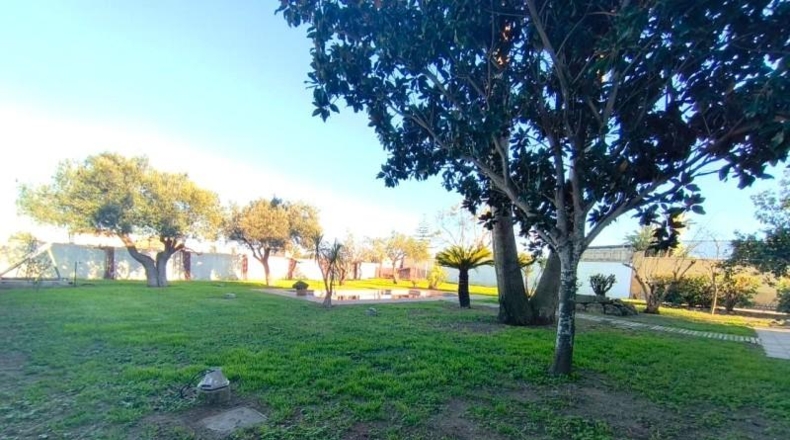 Cádiz - Sanlúcar de Barrameda - 2000m2