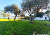 Chalet independiente con terreno en venta en la España, Sanlúcar de Barrameda, ref: TR392604 foto