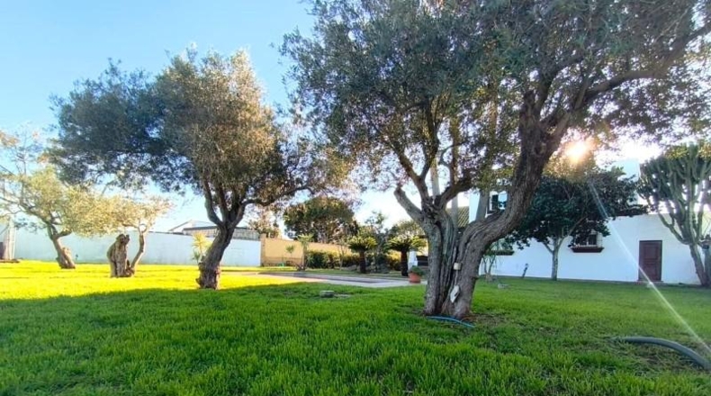 Cádiz - Sanlúcar de Barrameda - 2000m2