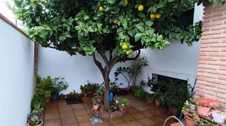 Málaga - Fuengirola - 311m2